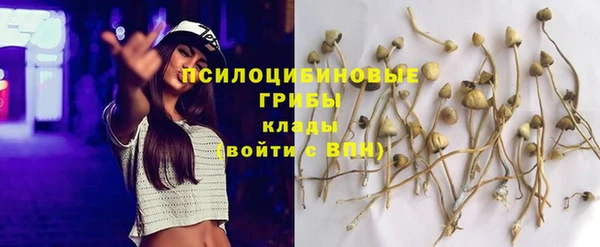 каннабис Няндома