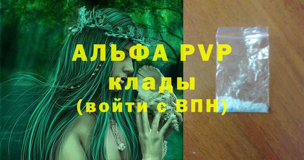 гашик Нягань