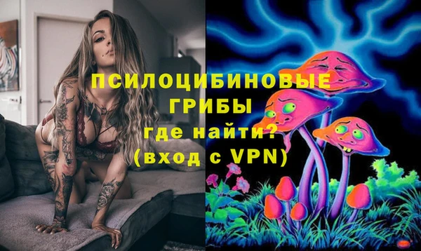 сатива Алзамай