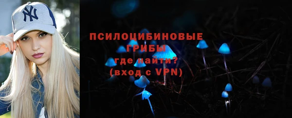 герыч Алексин