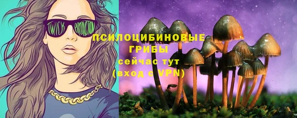 сатива Алзамай