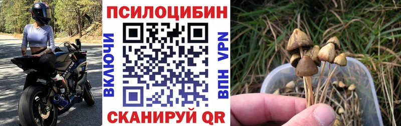 мега ссылка  Артёмовский  Псилоцибиновые грибы GOLDEN TEACHER  дарнет шоп 
